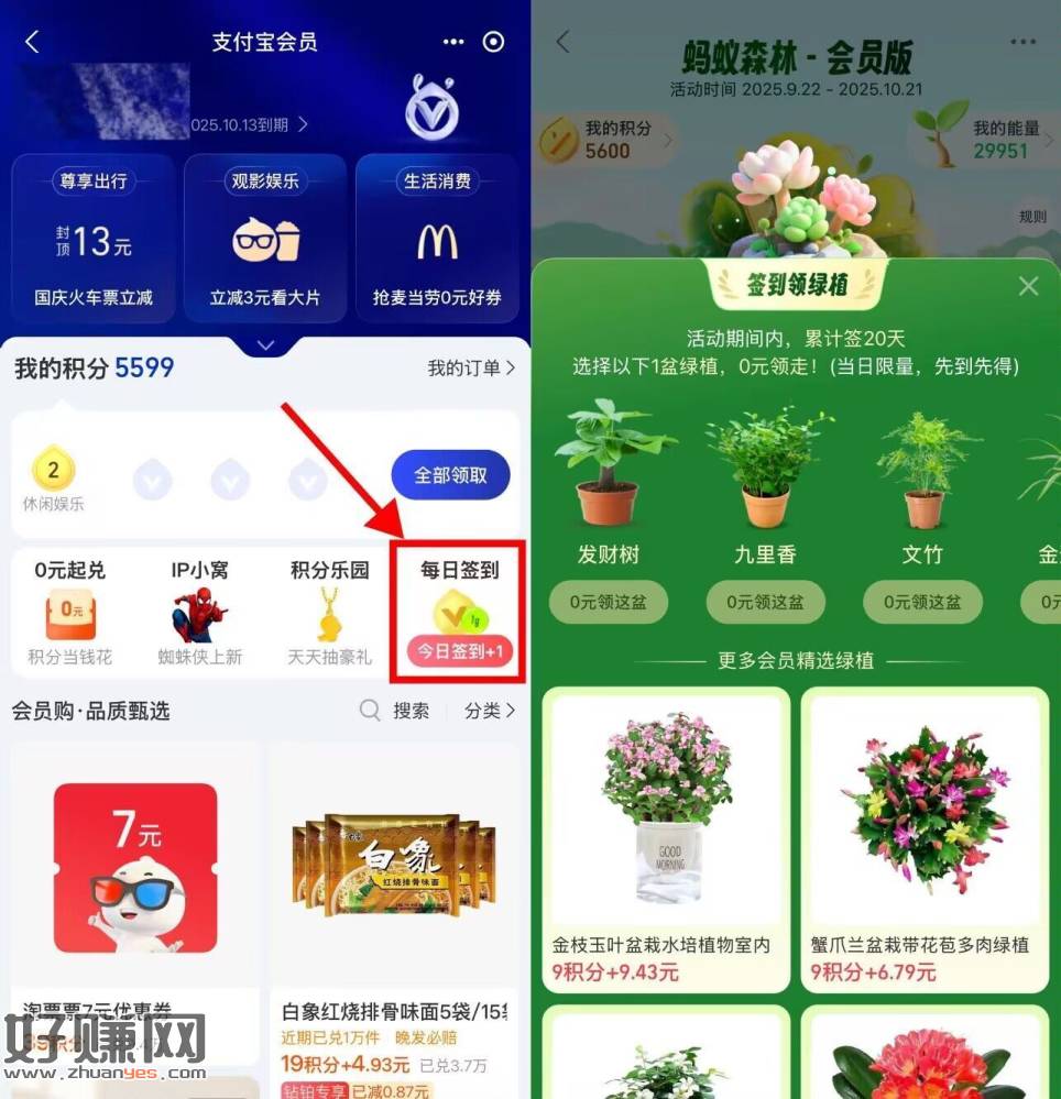 zfb蚂蚁森林签20天领绿植