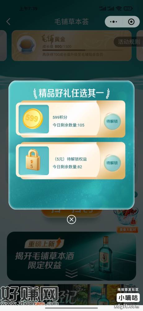 毛铺白银黄金会员等级的权益二选一红包补货了