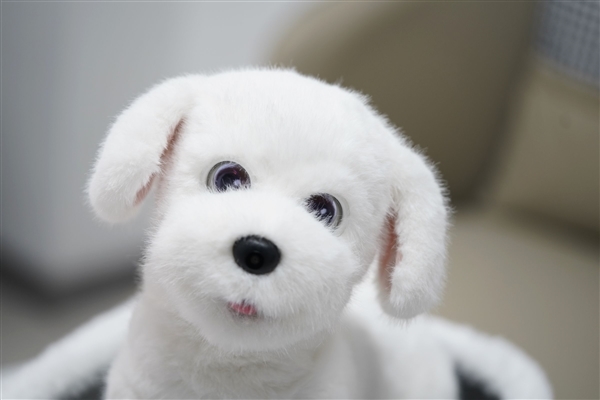 会撒娇能成长！科沃斯毛团陪伴机器人图赏