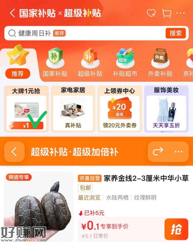 0.1💰一只草龟 先收藏