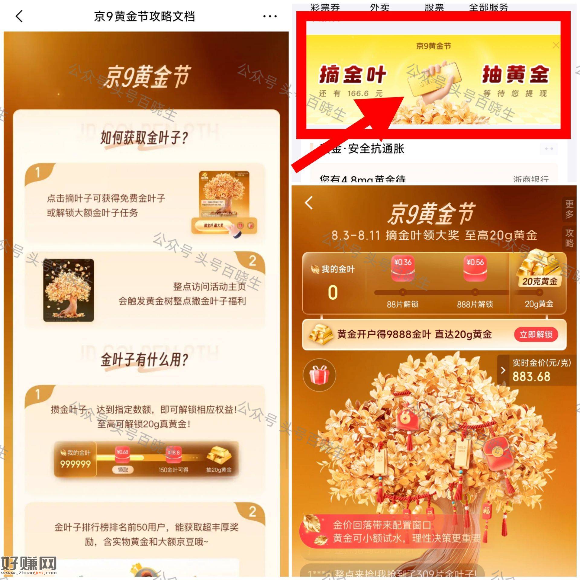 京东金绒app 首页横幅摘金叶