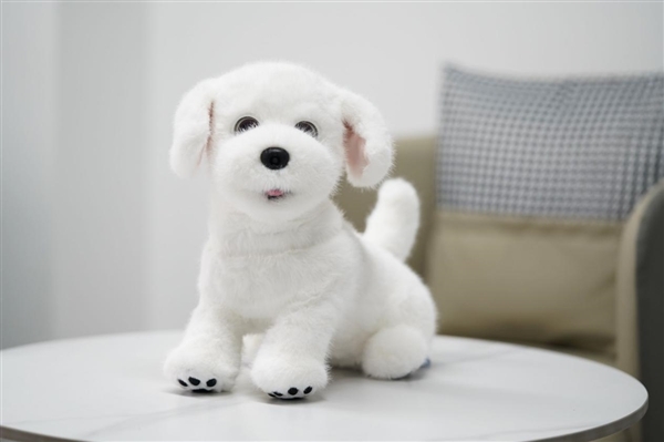 会撒娇能成长！科沃斯毛团陪伴机器人图赏