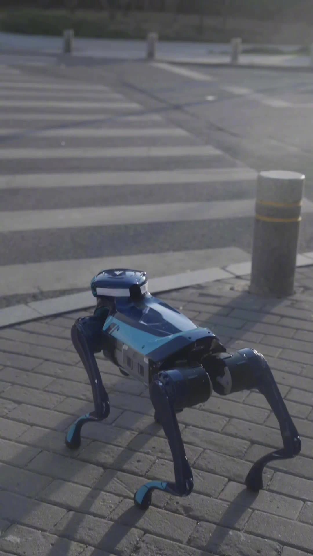 高德机器狗首度现身街头：过马路等红绿灯，会自己取奶茶