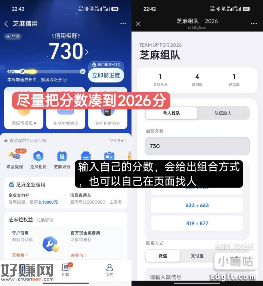 芝麻2026分匹配系统网址