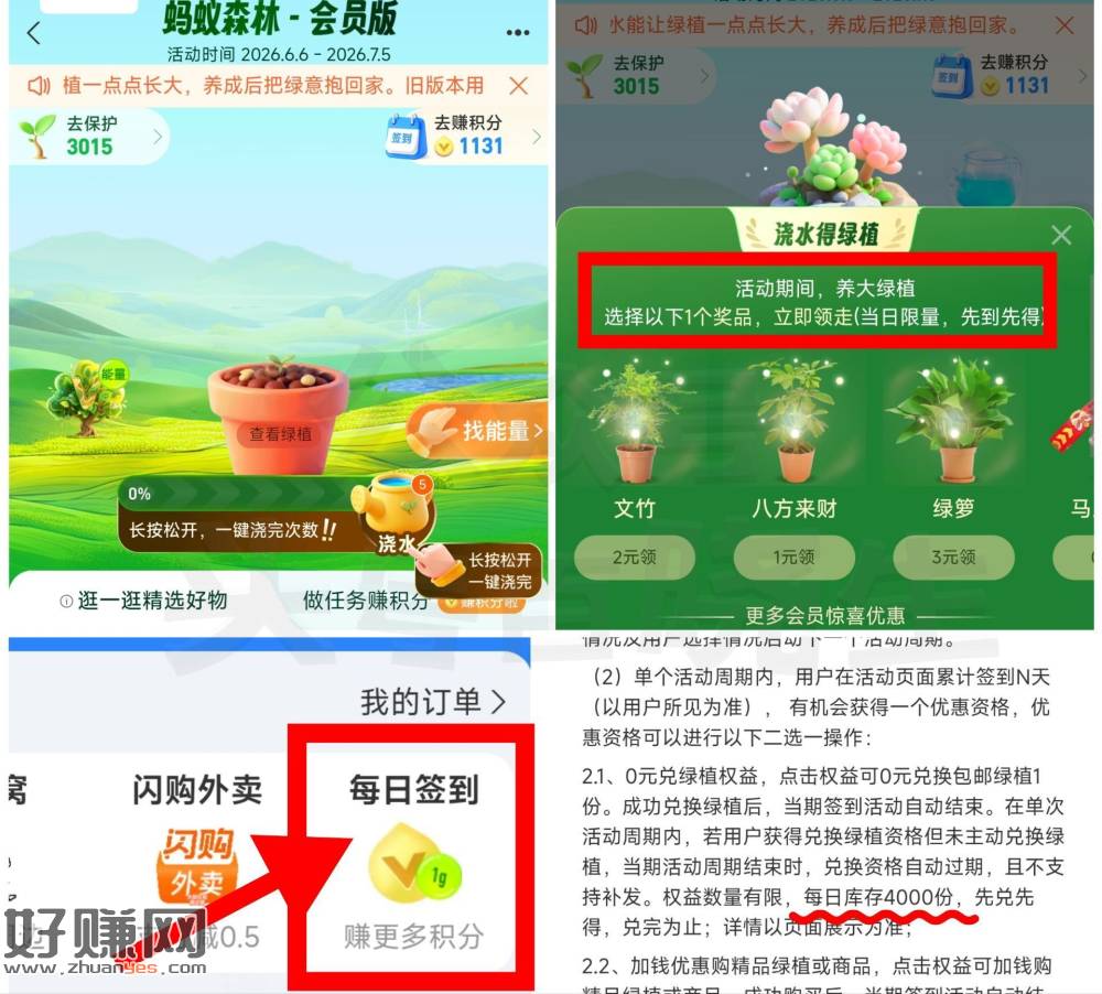 zfb蚂蚁森林签20天领绿植