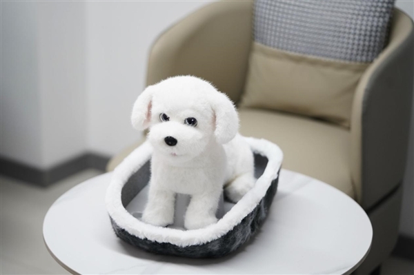 会撒娇能成长！科沃斯毛团陪伴机器人图赏