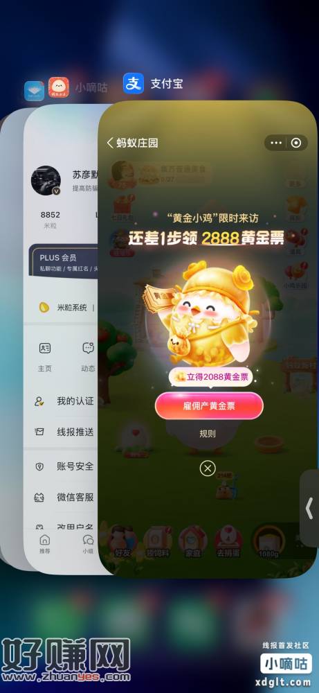 蚂蚁庄园雇佣黄䋮小鸡