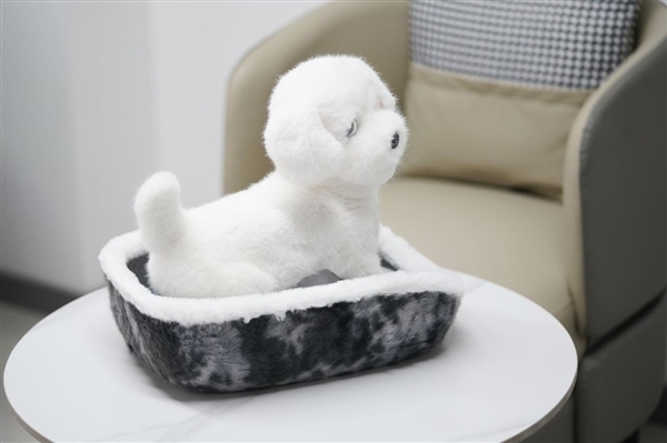 会撒娇能成长！科沃斯毛团陪伴机器人图赏