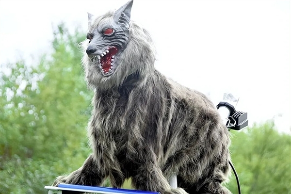 眼睛闪着红光、90分贝噪音 日本多地用‘机器狼’驱赶熊