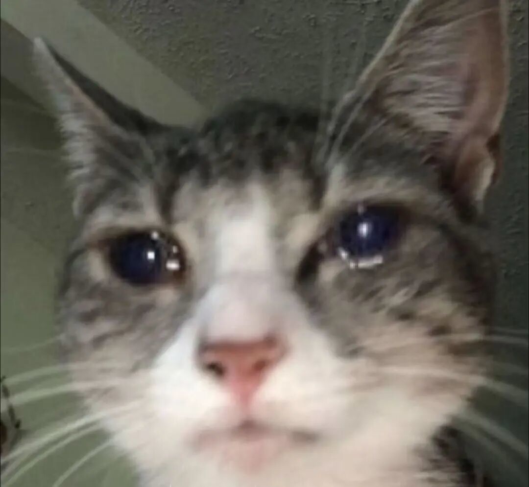 AI正在占领你的视频推荐流