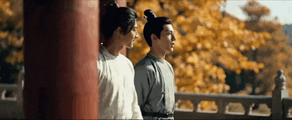 《朱橘》
