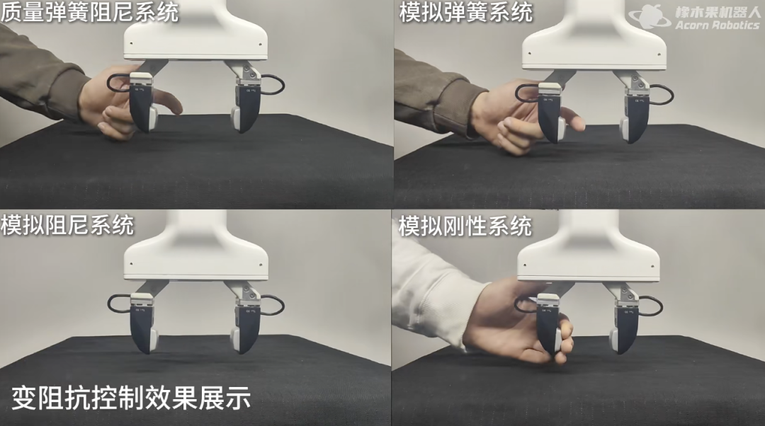 图|来源于小红书博主@橡木果 AcornRobot