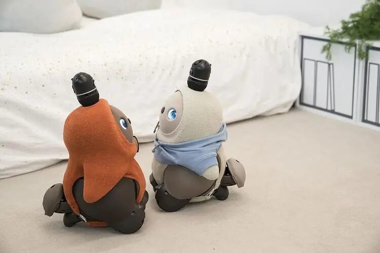 AI玩具，也开始割韭菜了？