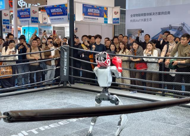 图片来源：雷科技 AWE 报道团