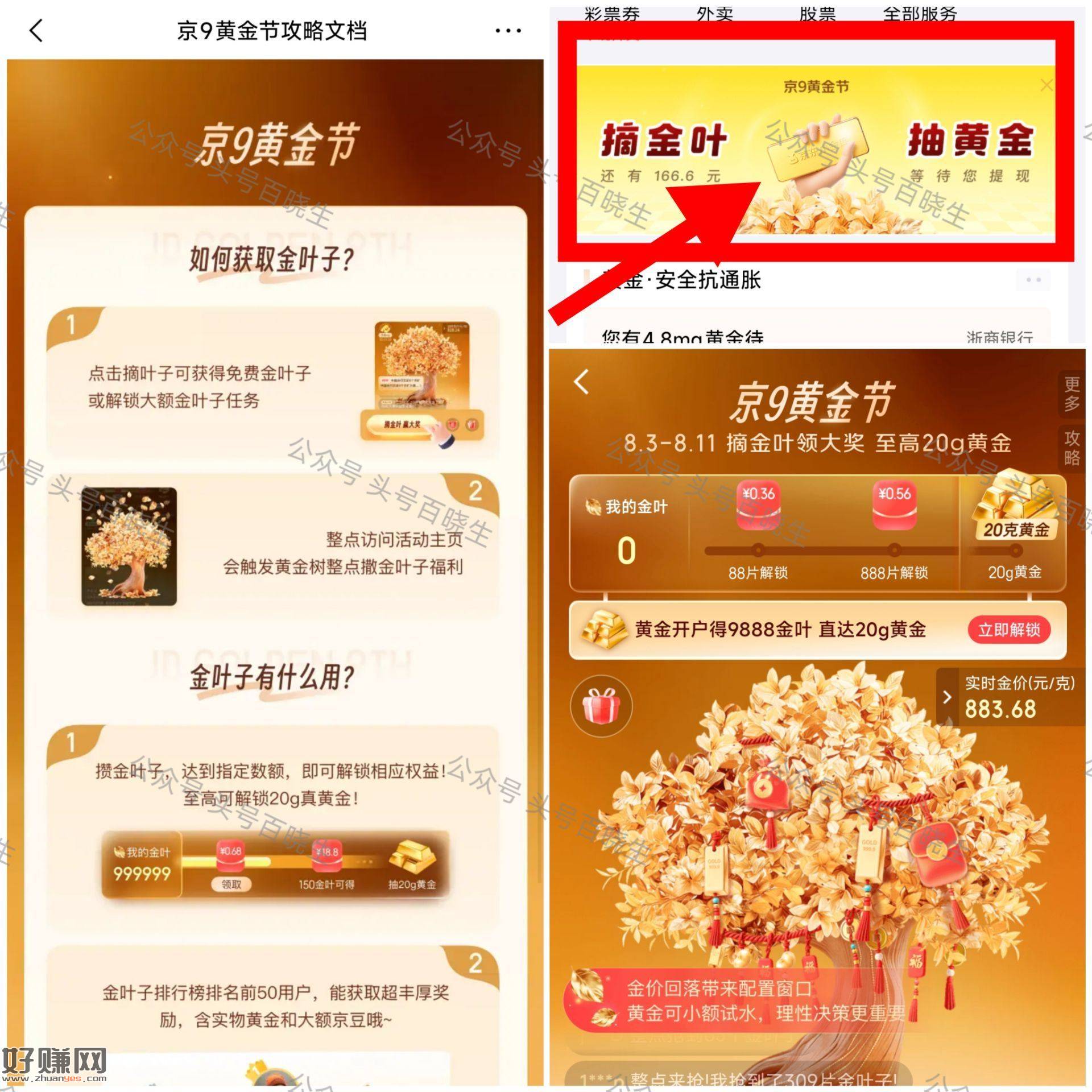 京东金绒app 首页横幅摘金叶