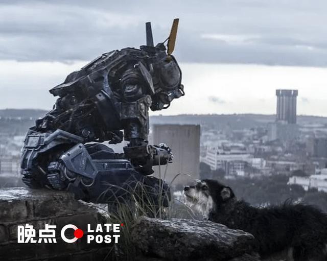 千问app，阿里要怎么做中国的“ChatGPT”