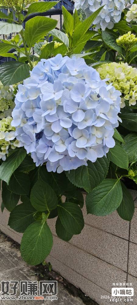 湖南补了速度去