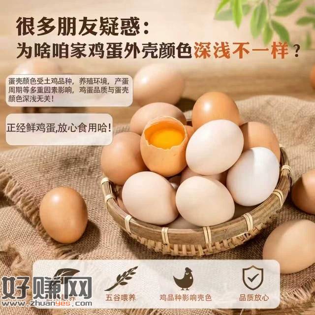 快秒❗超低价！！，10.9💰臻选鲜鸡蛋40g*20枚