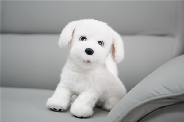 会撒娇能成长！科沃斯毛团陪伴机器人图赏