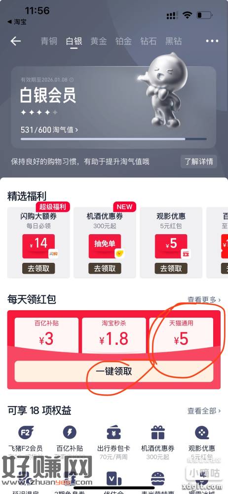 天猫app会员中心领取5元无门槛通用红包，过号