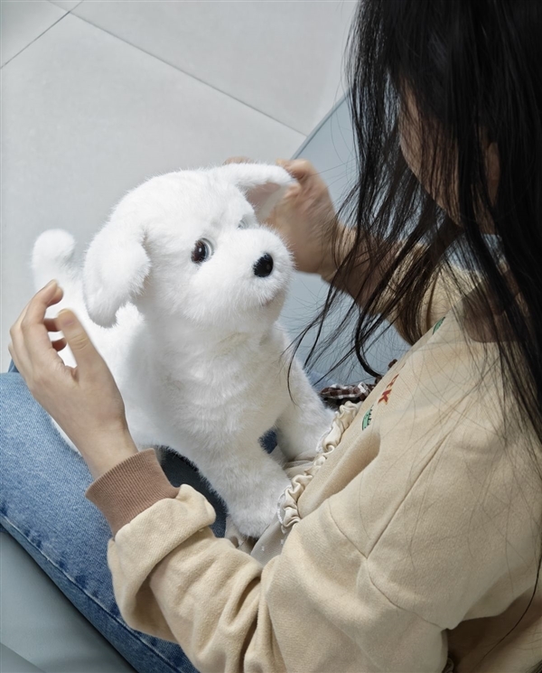 会撒娇能成长！科沃斯毛团陪伴机器人图赏