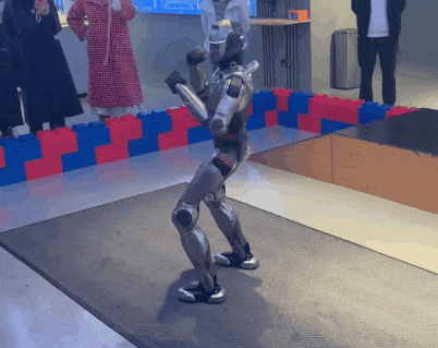 ▲ 机器人表演拳击。图 / 作者供图