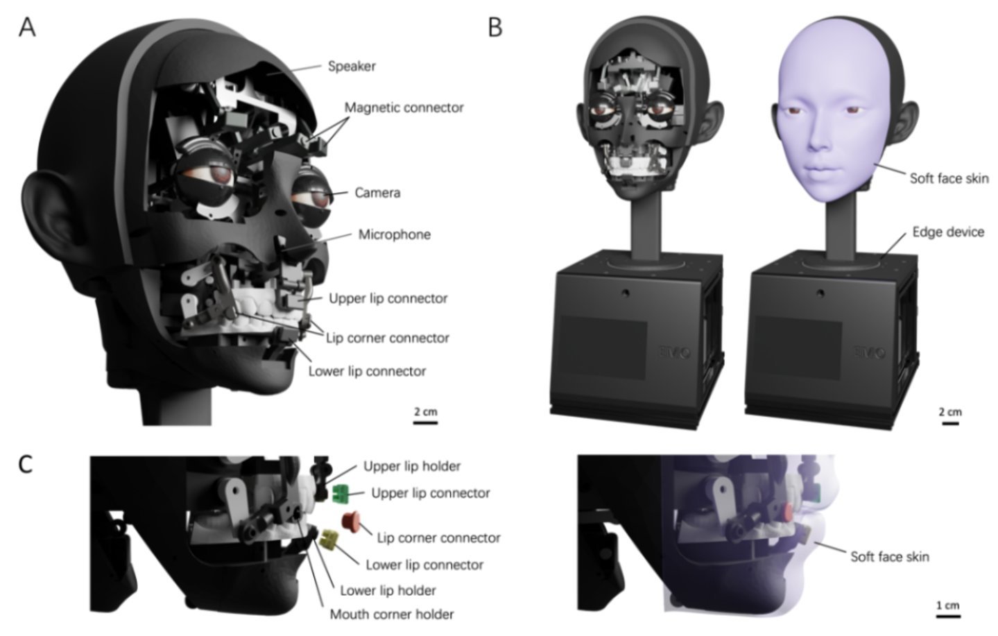 图源:论文Learning realistic lip motions for humanoid face robots