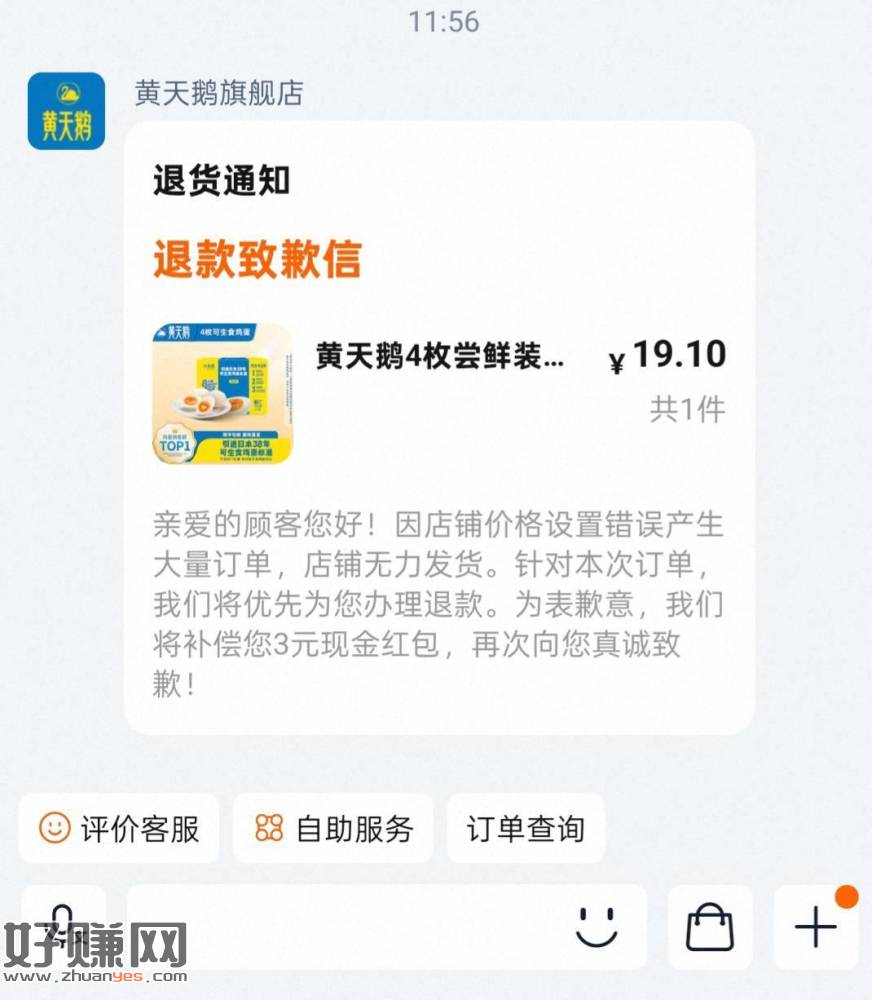 前两天凌晨 有拍到黄天鹅的