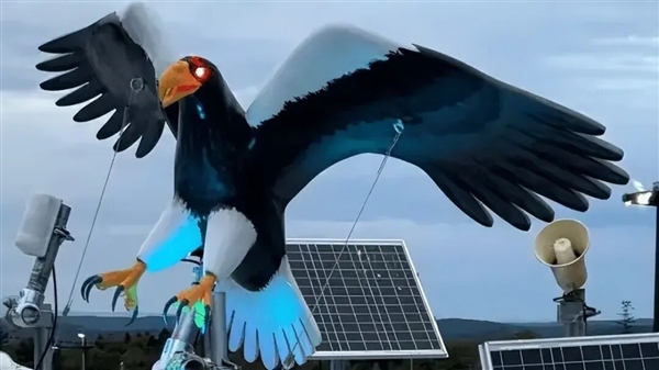 眼睛闪着红光、90分贝噪音 日本多地用“机器狼”驱赶熊