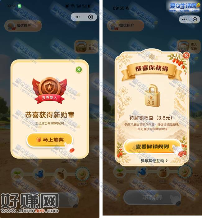 毛铺每日种树抽实物/现金 反馈3.8元现金