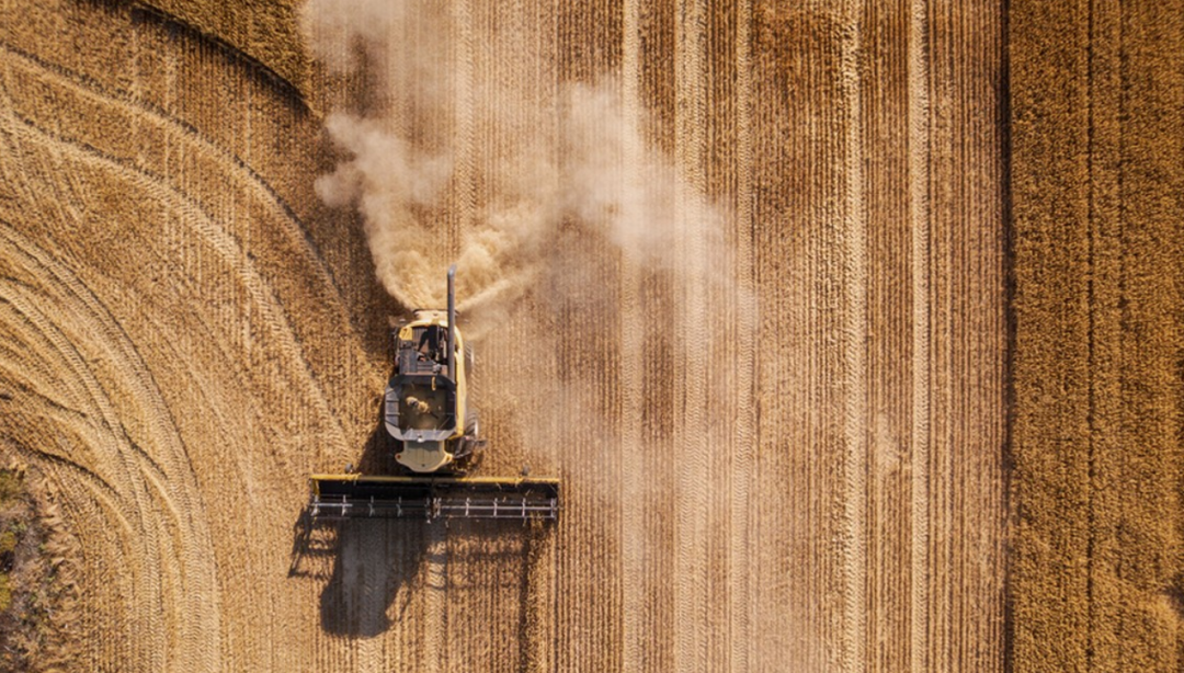 春节AI红包，本质是一场大规模微数据收割行动