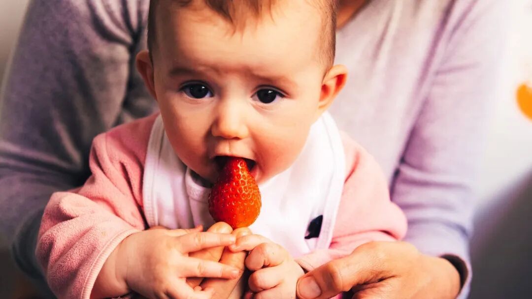 Child nutritionist's ultimate guide to what to feed 6-month-old babies while weaning | HELLO!
