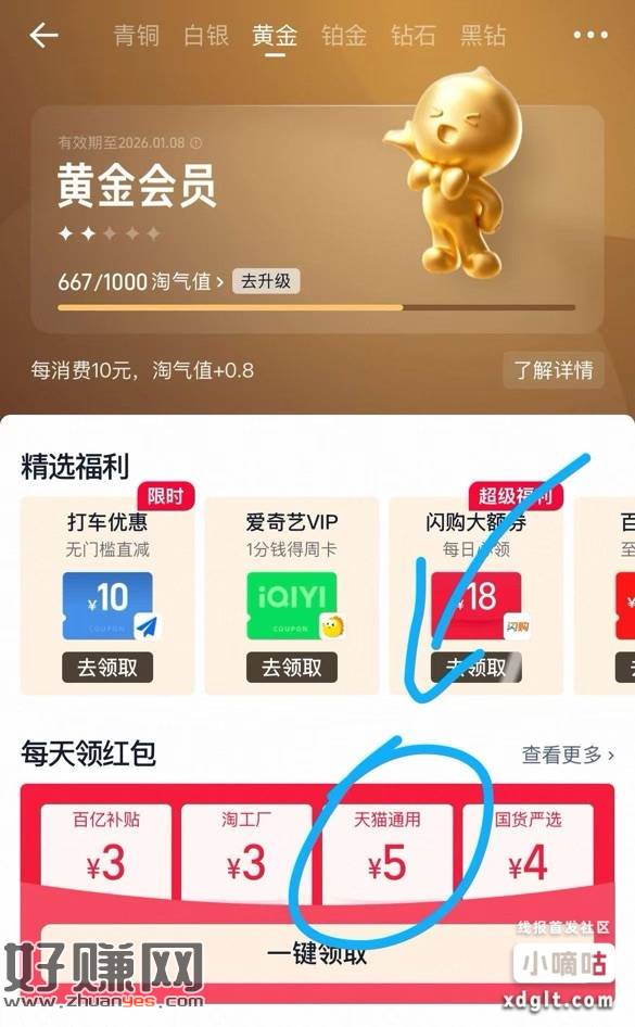 淘宝-我的淘宝-会员中心，如图，部分号有5亓天猫无门槛