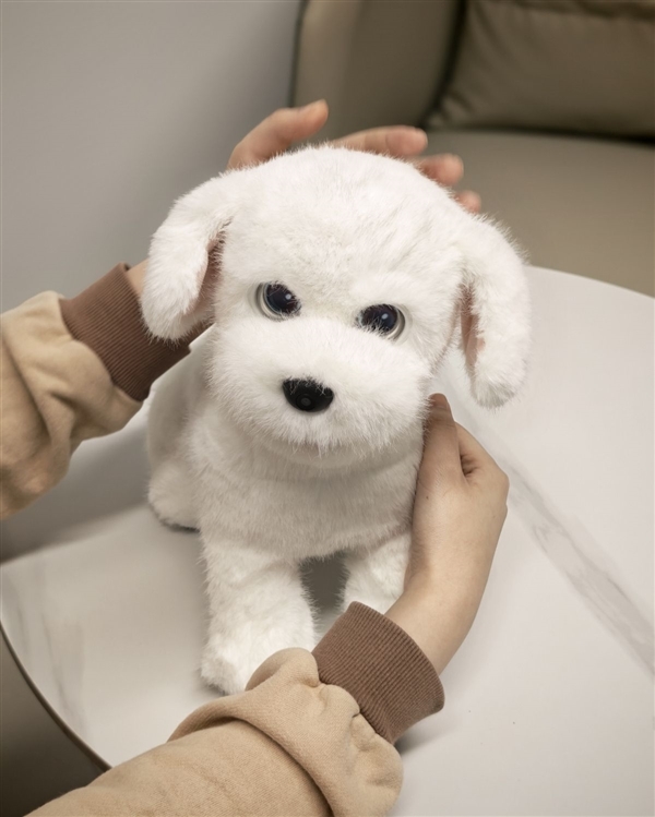 会撒娇能成长！科沃斯毛团陪伴机器人图赏