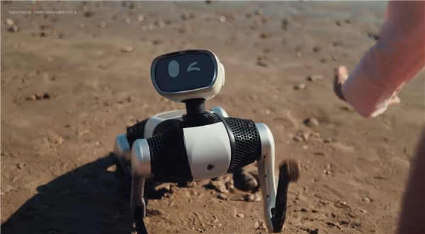 9988元!Vbot发布首款无需遥控机器狗“大头BoBo”