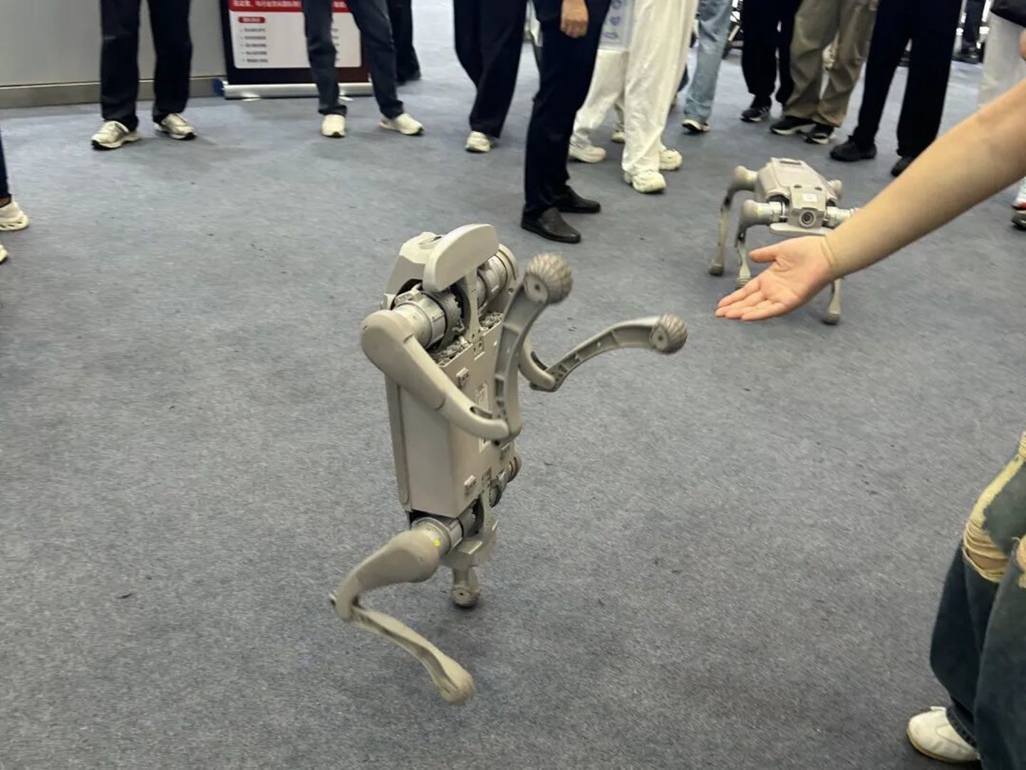 ▲展会上的一款四足机器人现场展示人机交互