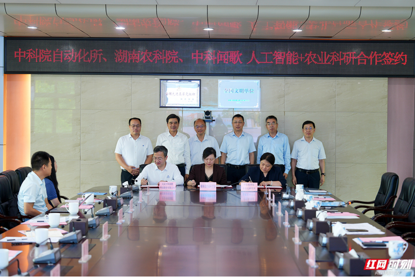 中科闻歌联手中科院自动化所:AI水稻育种进入落地阶段
