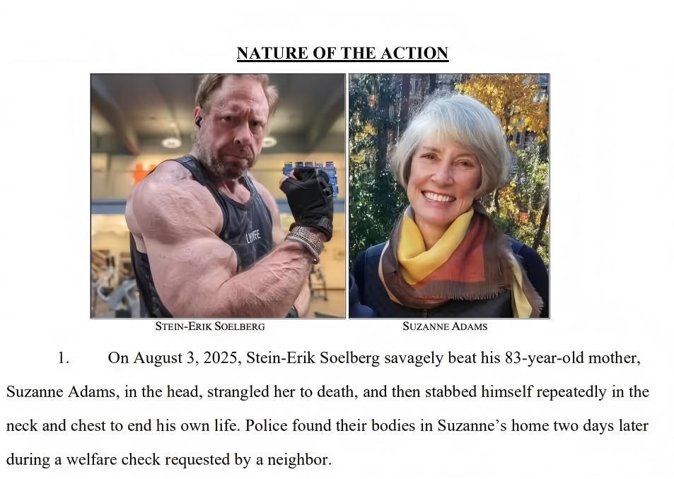 图源:法院起诉文件