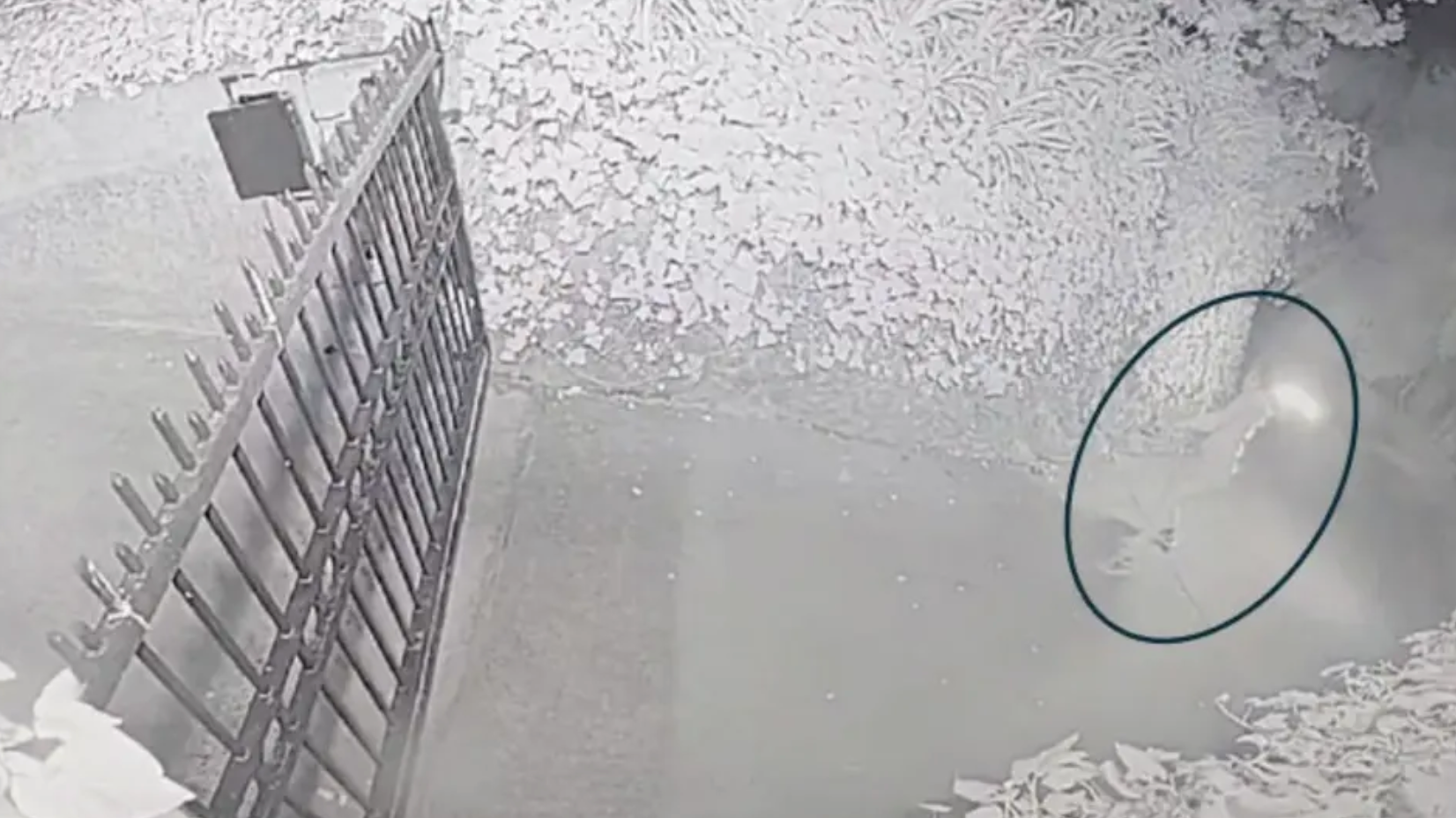 嫌犯加马投掷燃烧瓶