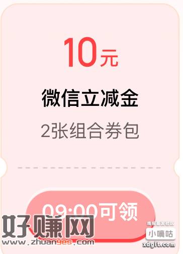 白条分分卡9点领10立减