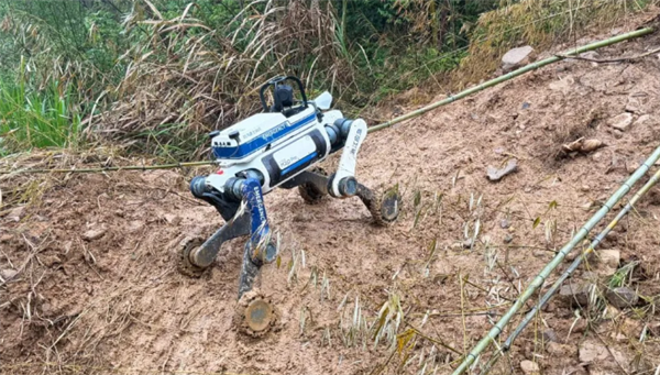 云深处发布全国首个防汛防台具身机器人:支持隐患巡查、险情侦察