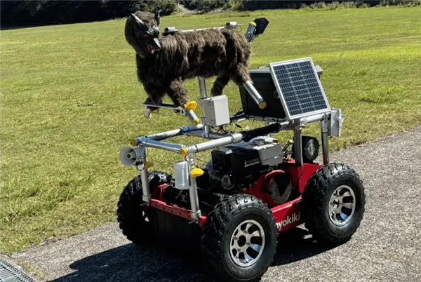 眼睛闪着红光、90分贝噪音 日本多地用“机器狼”驱赶熊