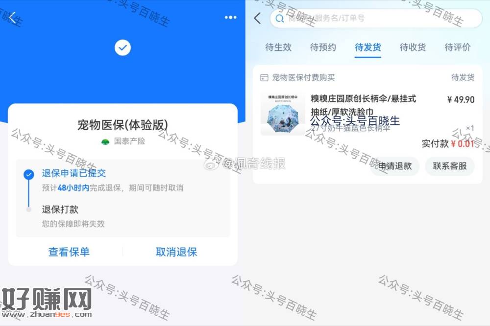 zfb 买这个宠物保.险，会赠送一把雨伞