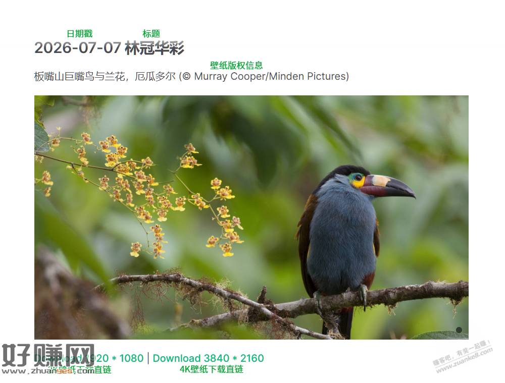 必应每日壁纸下载站（转发）