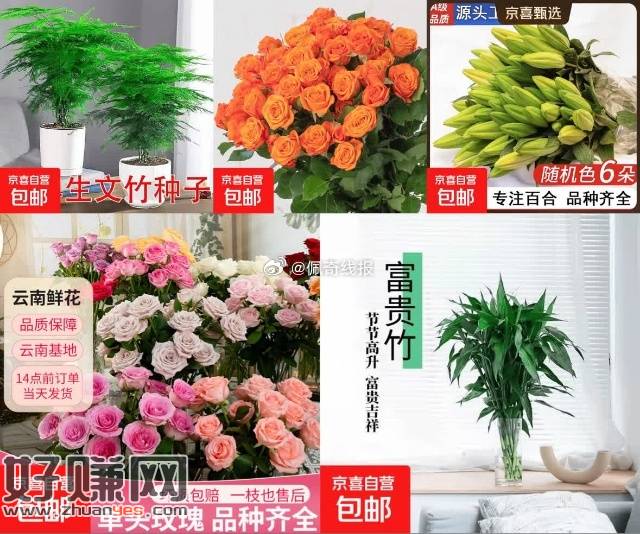 📢快薅！鲜花绿植好价！，1.99💰文竹种子5粒*1包