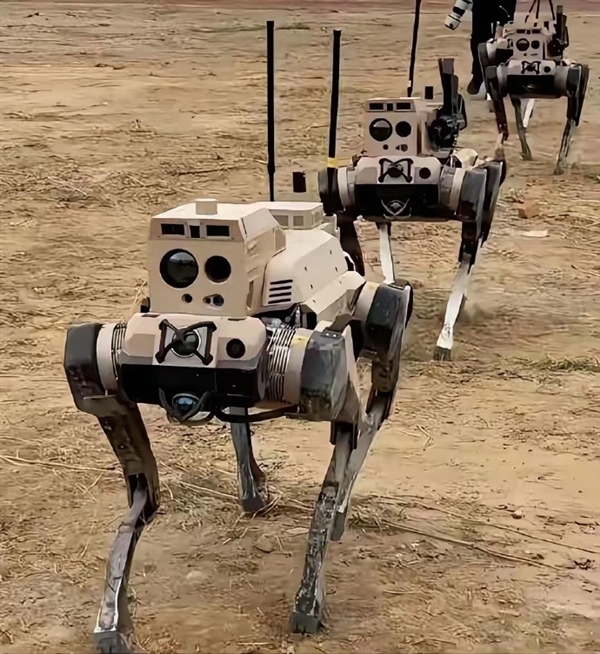 暗影、浴血、极地集结!中国机器狼群巷战画面首次公开:自主识别、瞄准