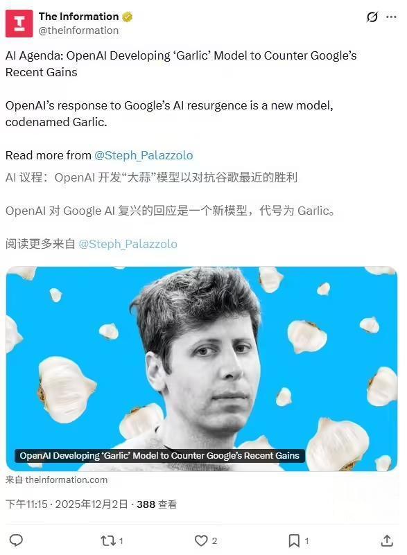 OpenAI被曝正开发全新AI大语言模型：代号“大蒜”，性能超越谷歌Gemini 3